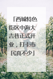 西城特色街区中海大吉巷正式开业，打卡市民真不少